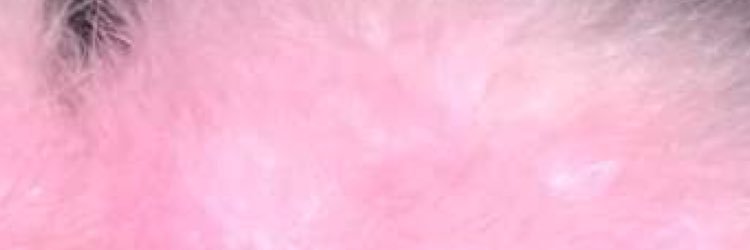 verawanq's profile banner image