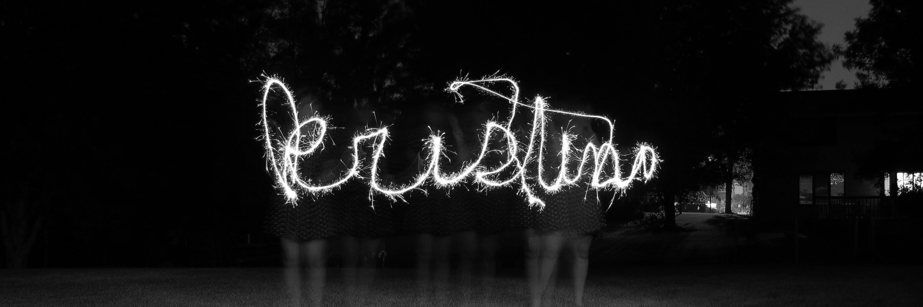 grrldetective's profile banner image