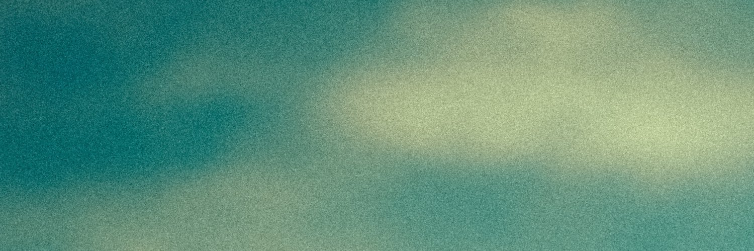 Shane banner