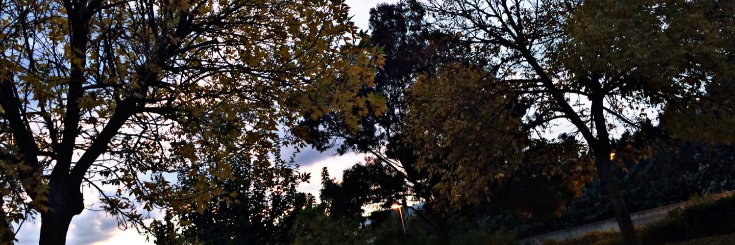 rox_s1D's profile banner image