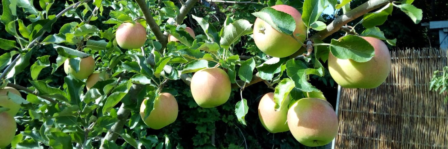 Jens Preben Morth 🇪🇺 🇩🇰 🐾 🌍 banner