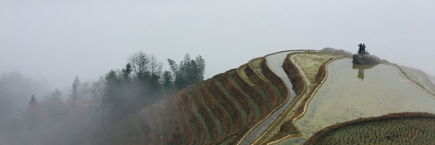 kinovlee's profile banner image
