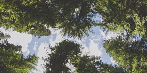 ioli_2's profile banner image