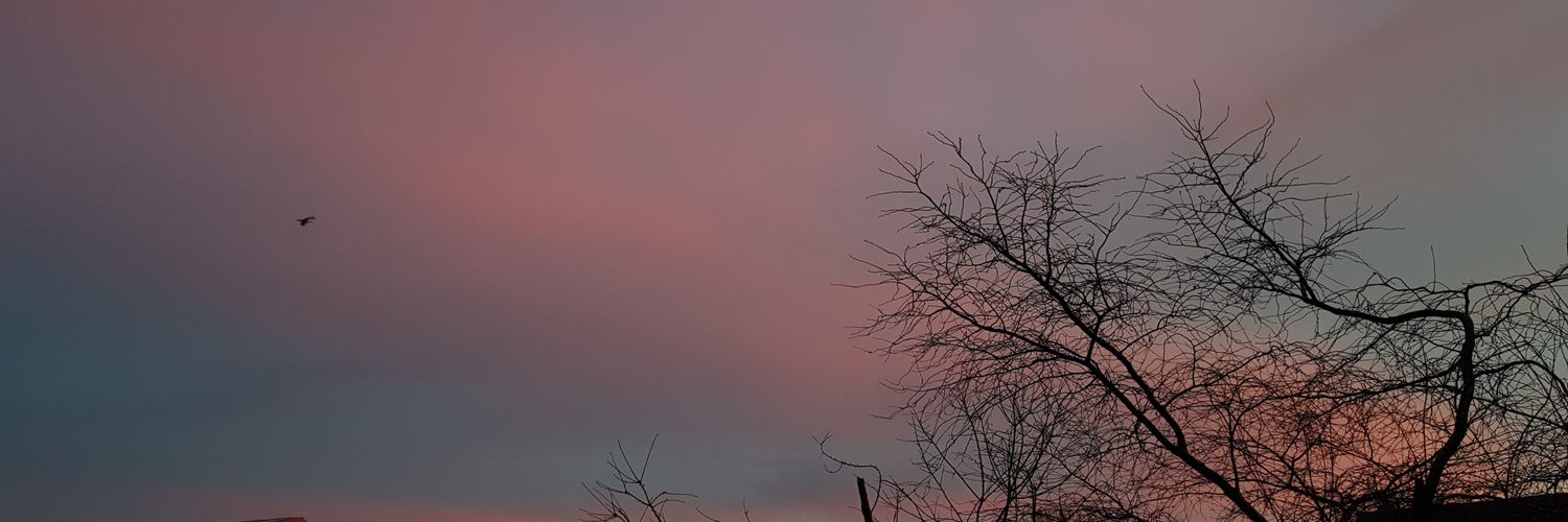 MuserPenguin's profile banner image