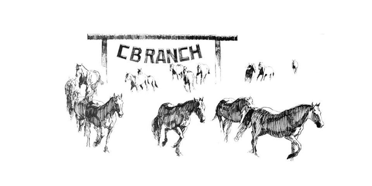 CB_Ranch_Kate's profile banner image