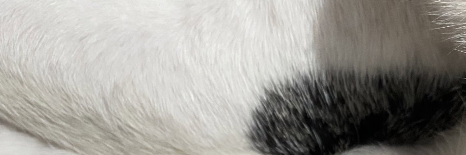 rubbism's profile banner image