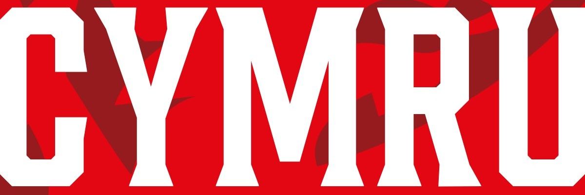 Pibydd's profile banner image