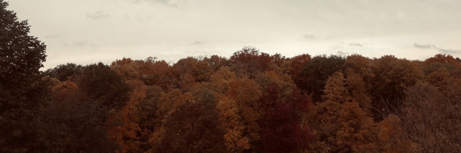 WilkinsSammy's profile banner image