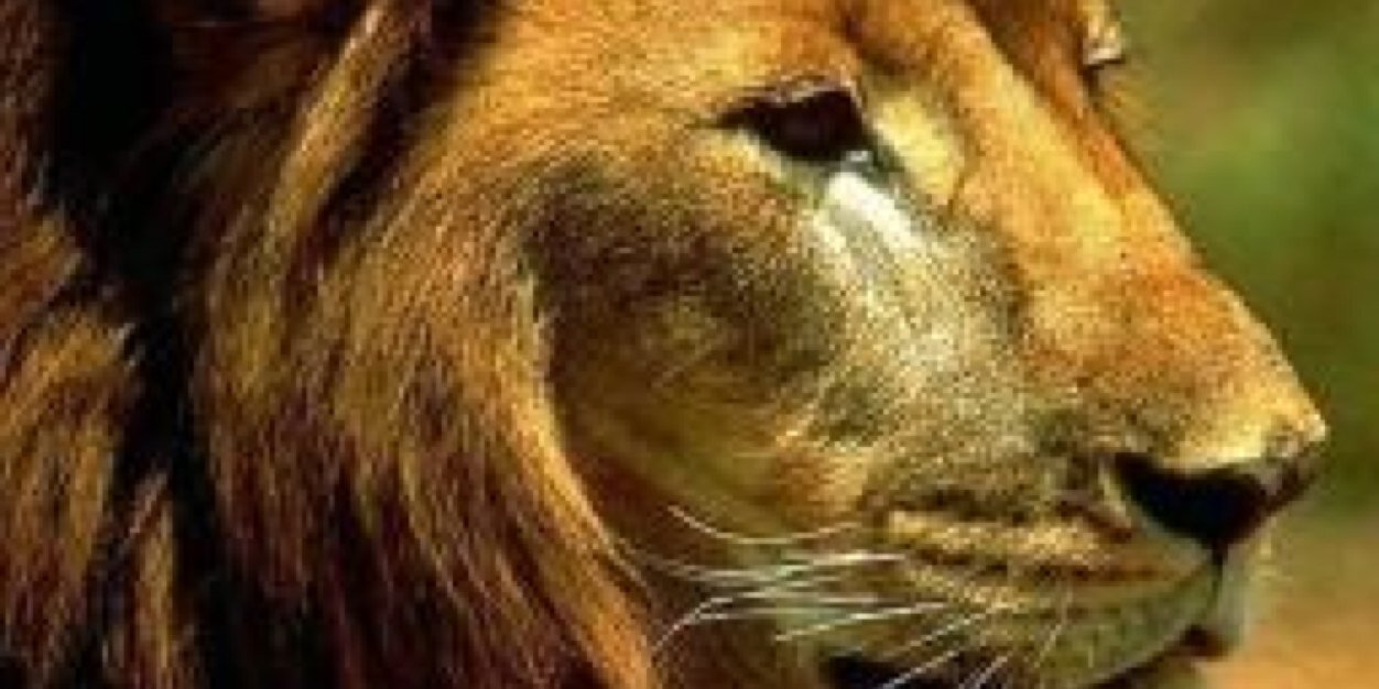 asaamaa_'s profile banner image