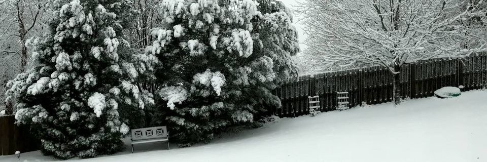 Sean Pinegar banner