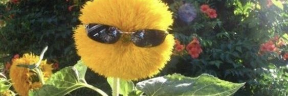 kburkez's profile banner image