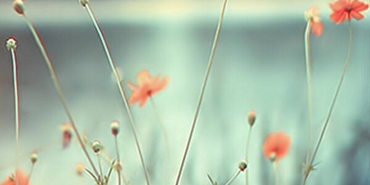 sosos551's profile banner image