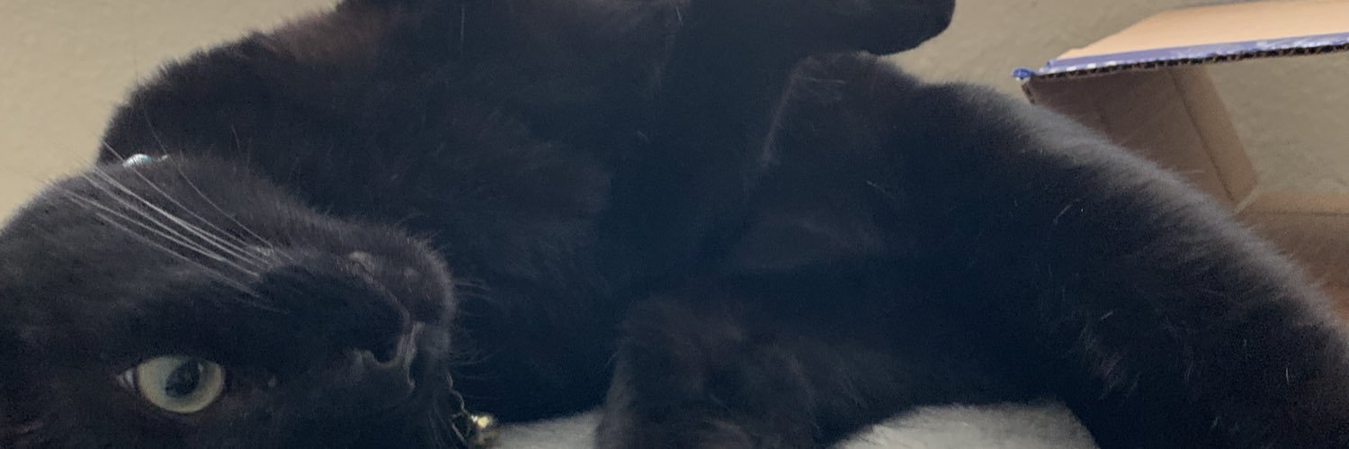 kuntheaaa's profile banner image