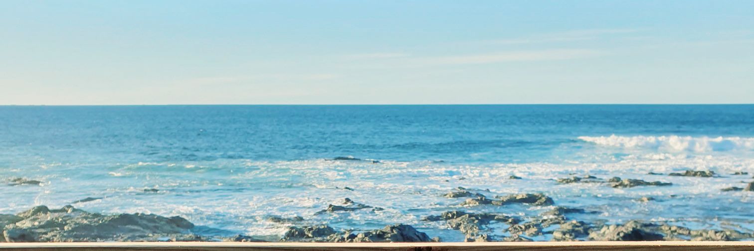 María José Roca banner