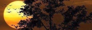 uslu_tuncay's profile banner image
