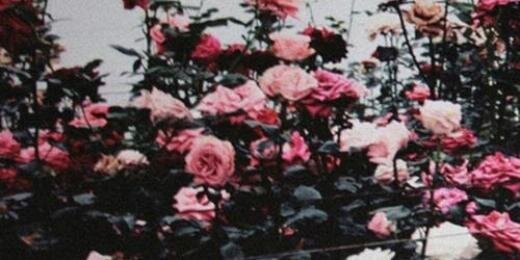 OneLove_qw's profile banner image