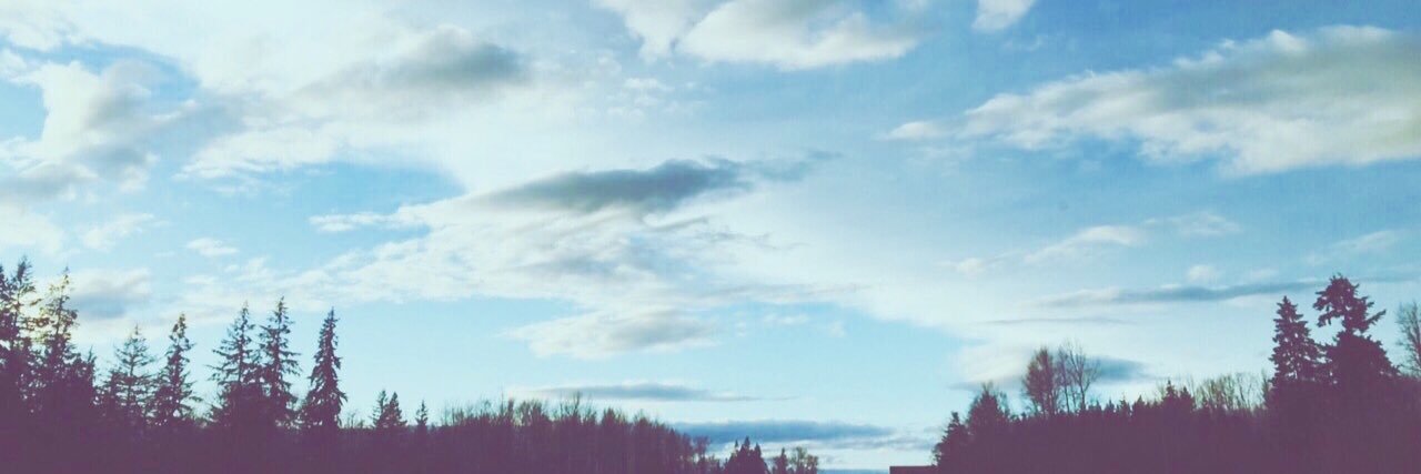 thereal_condog's profile banner image