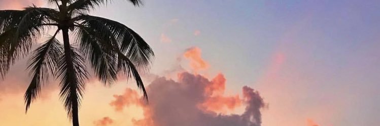 cest_Ginza's profile banner image