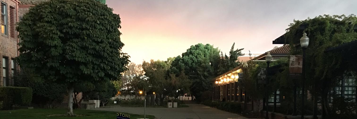 Marianne Paiva, PhD banner