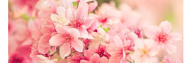 _ariellesamone's profile banner image