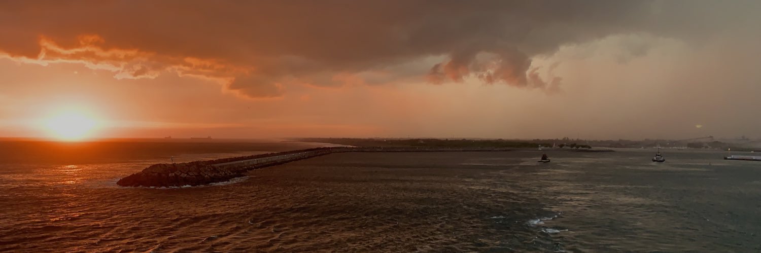 tanichols's profile banner image