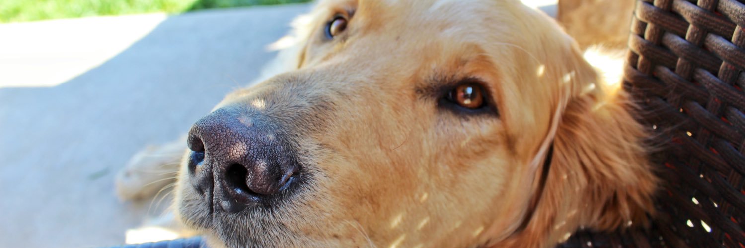 tburnett15's profile banner image