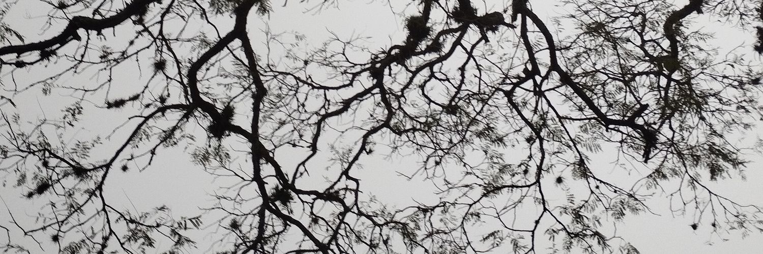 tay e o taxista 🦇 banner