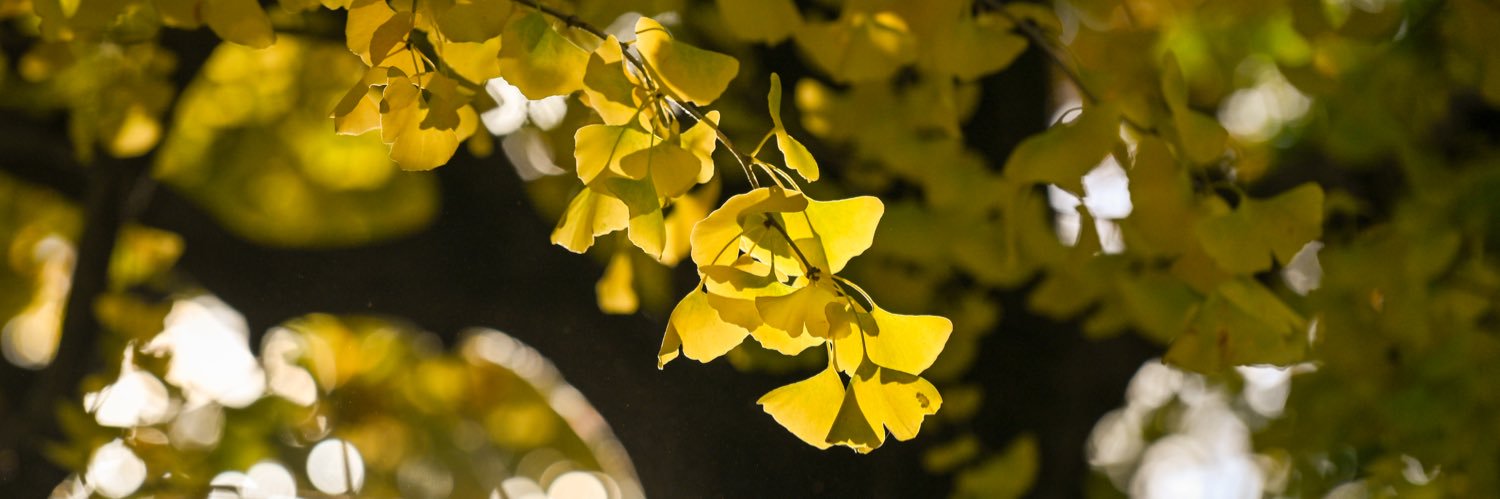 Ken2267Sky's profile banner image