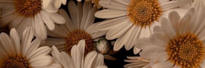 1Beckermicaela's profile banner image