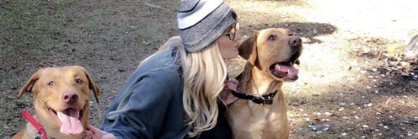 sarahdbombs's profile banner image