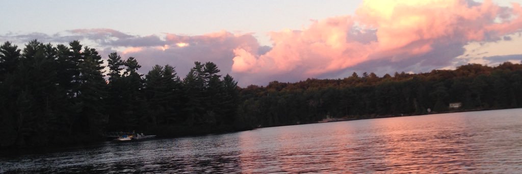 lilmackie's profile banner image