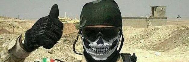 Mosquitos Molestos banner