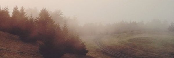 stephkatrina Profile Banner