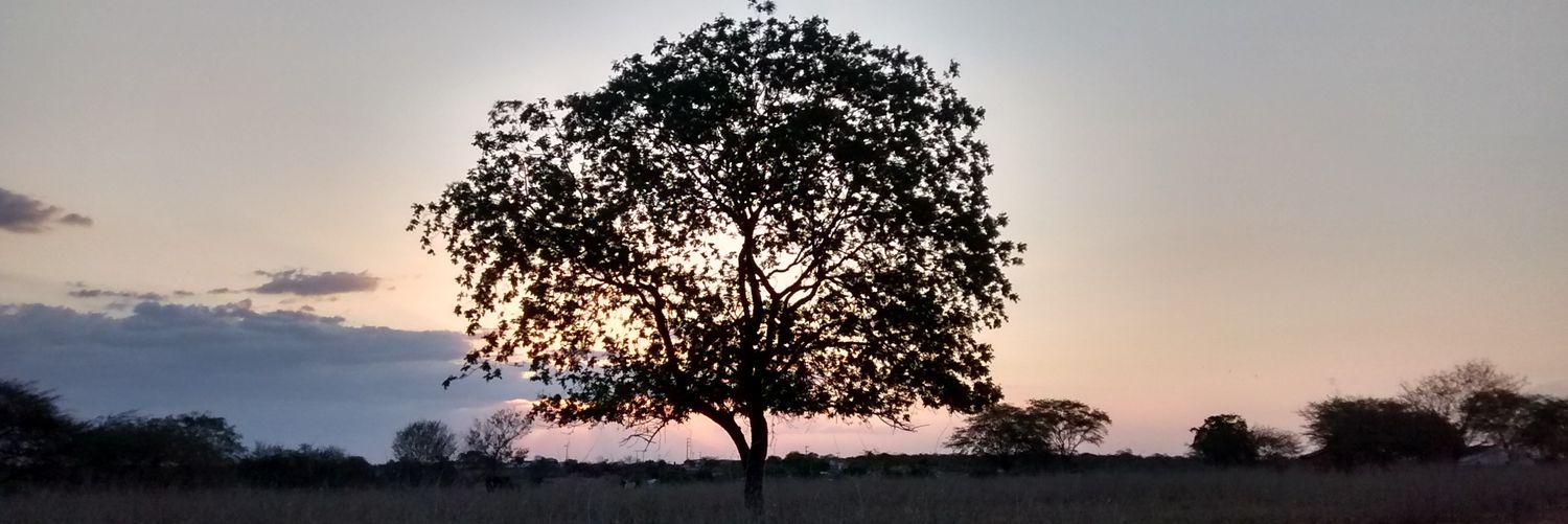 rgllima's profile banner image