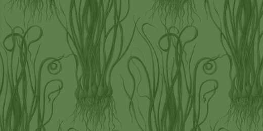 Foraging & Feasting banner
