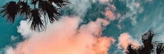 thisisamandam's profile banner image