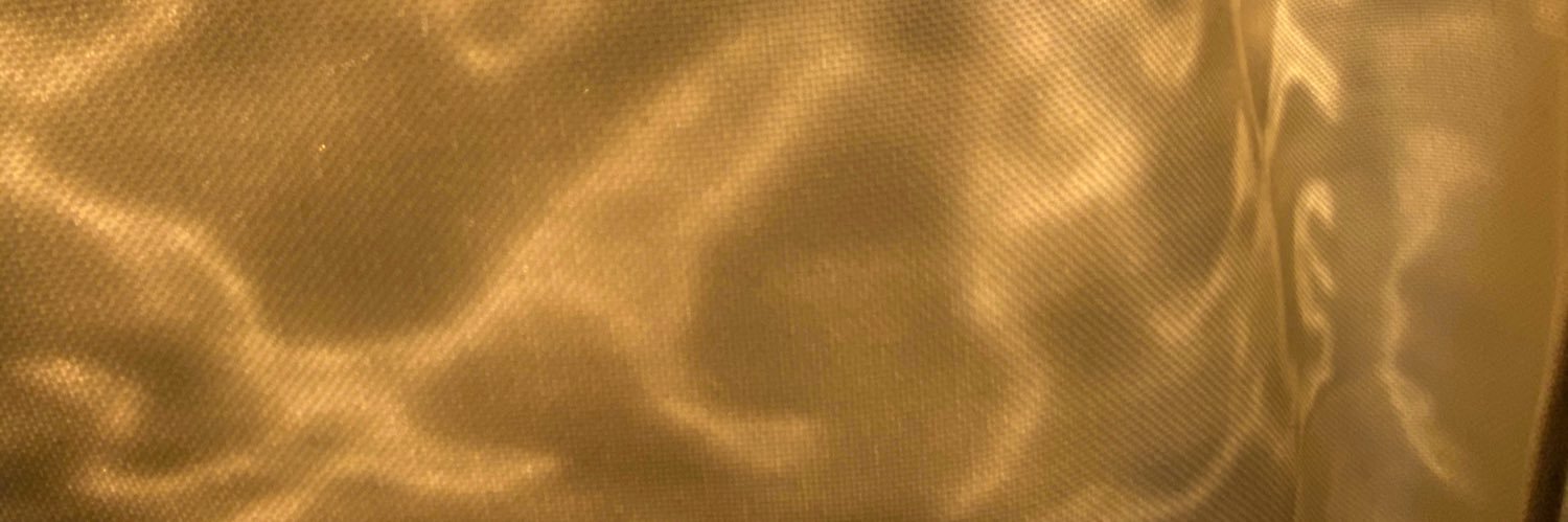 AuriOLLG's profile banner image