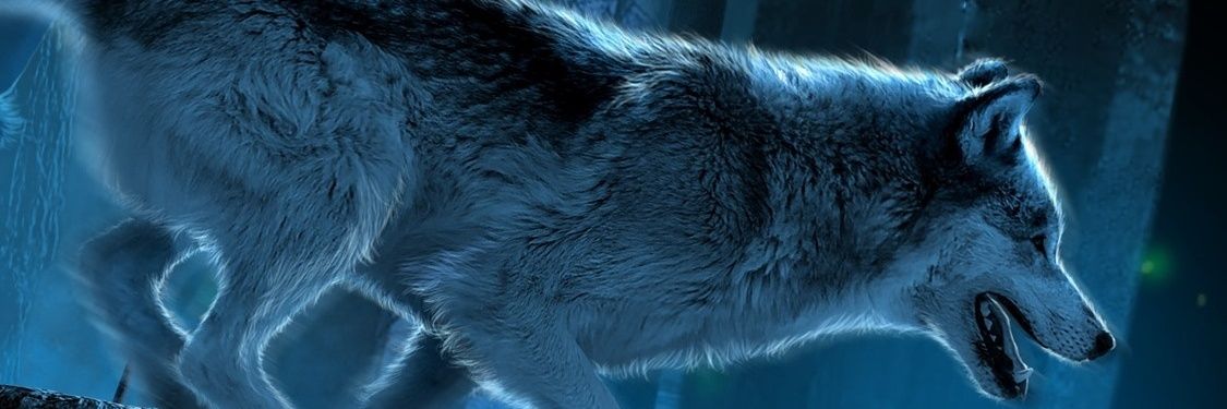 muradinca's profile banner image