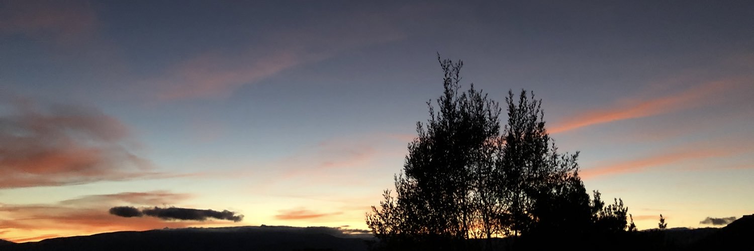noee_losada's profile banner image