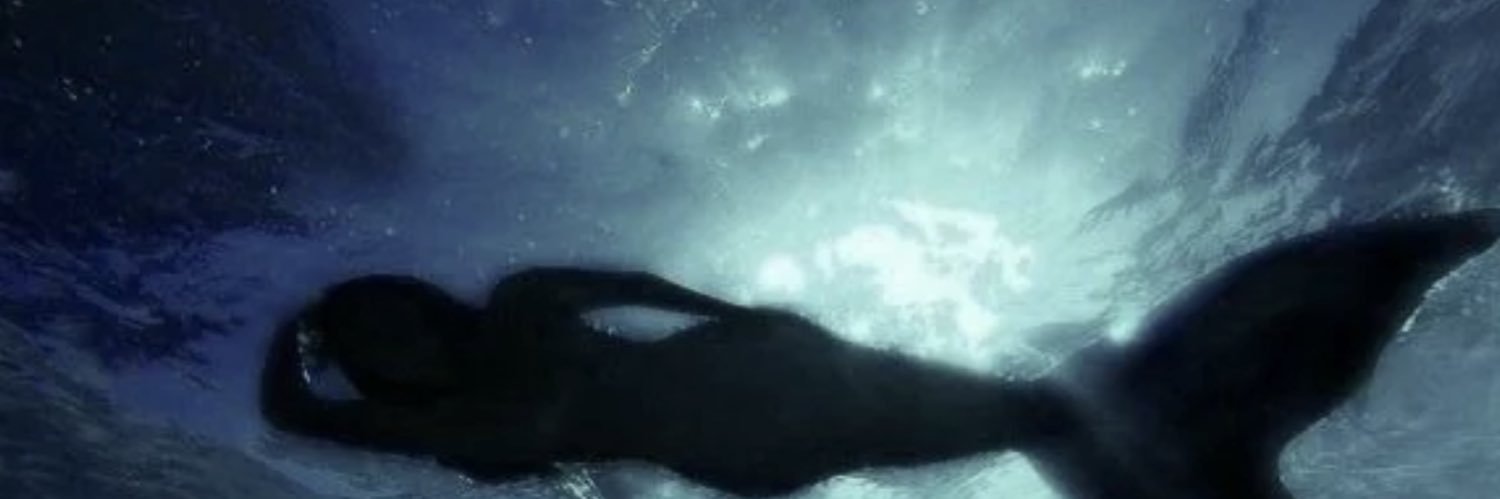 OTFnu's profile banner image