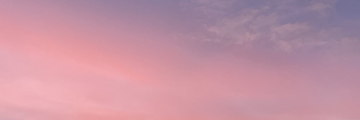 lauren_narvaez's profile banner image