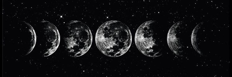 حنين حامد banner