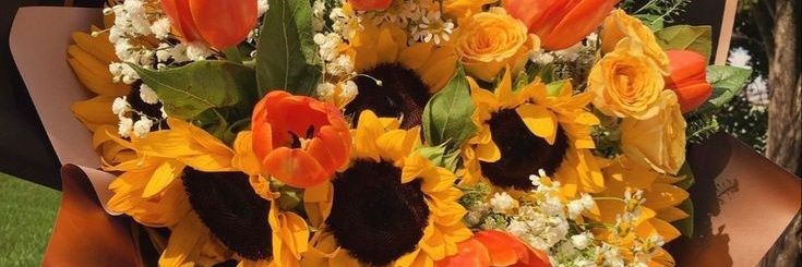 BarriosMariaPia's profile banner image