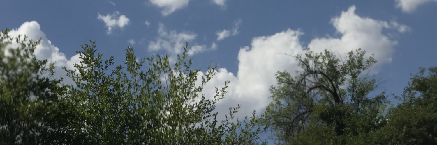 Az_BirdGang's profile banner image