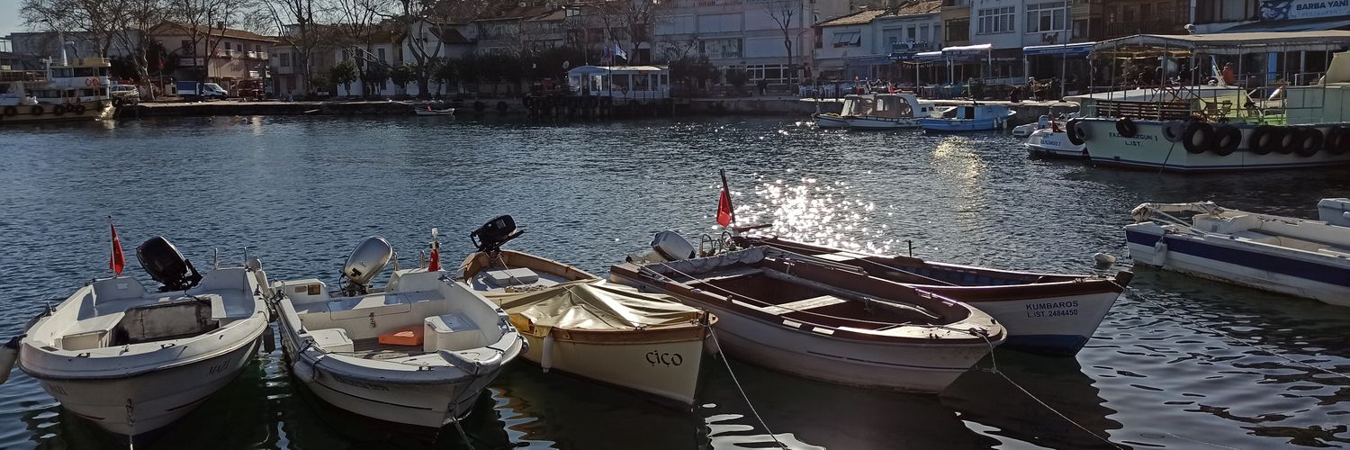 ali0zcan's profile banner image