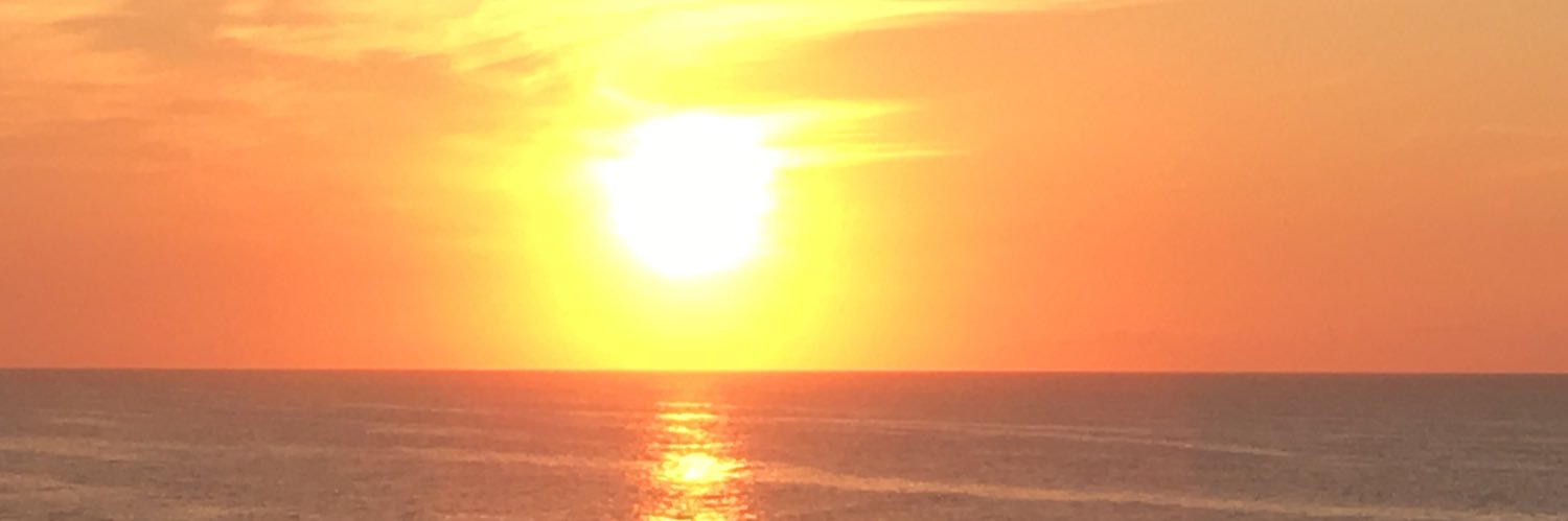 shagginblvd's profile banner image