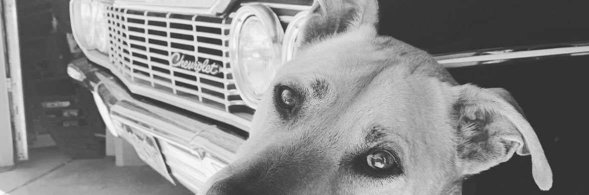 EppieLePew's profile banner image