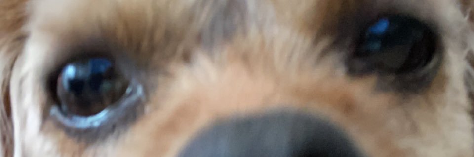 ajcris26's profile banner image