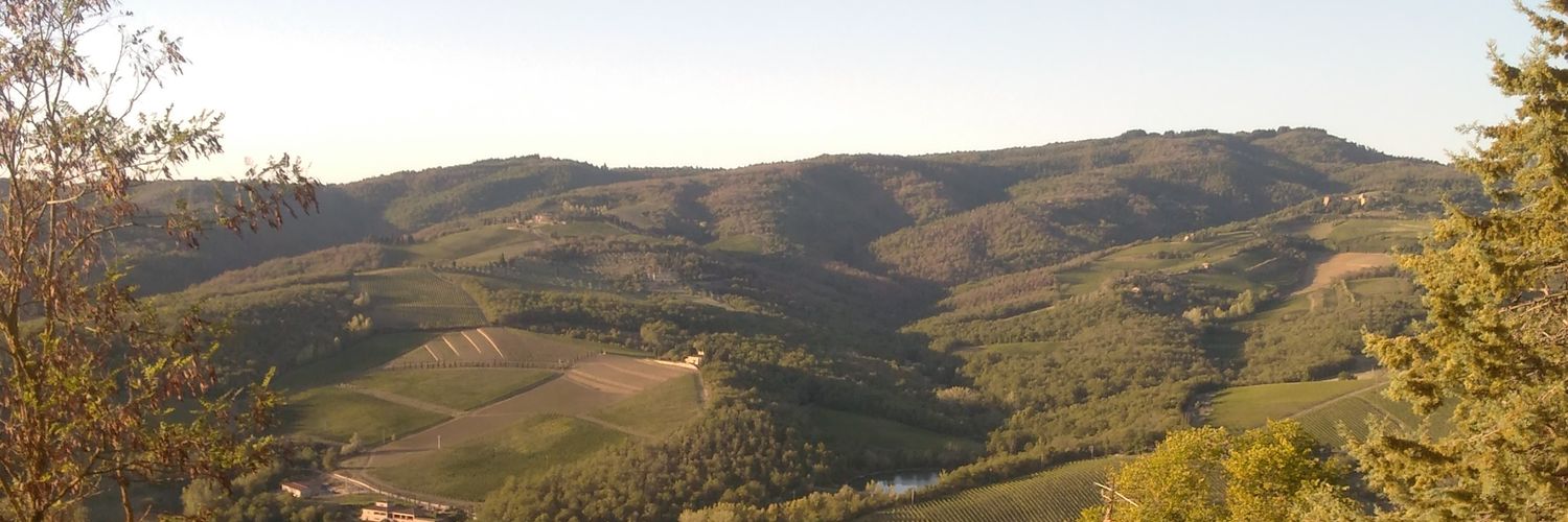 Guillermo Manzi🎸🏎🍸🛫 banner