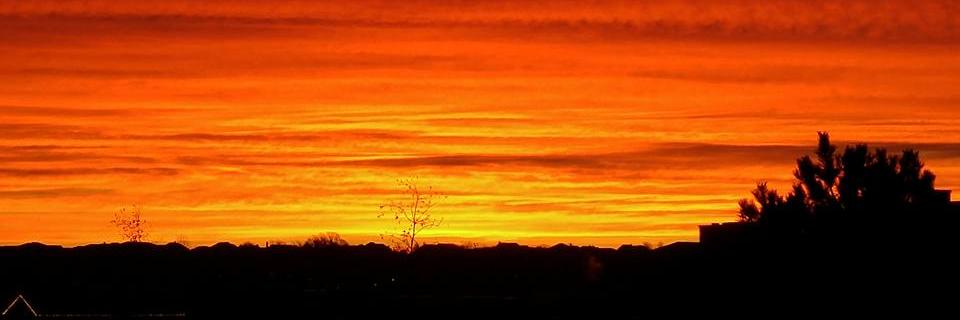 bree0606's profile banner image